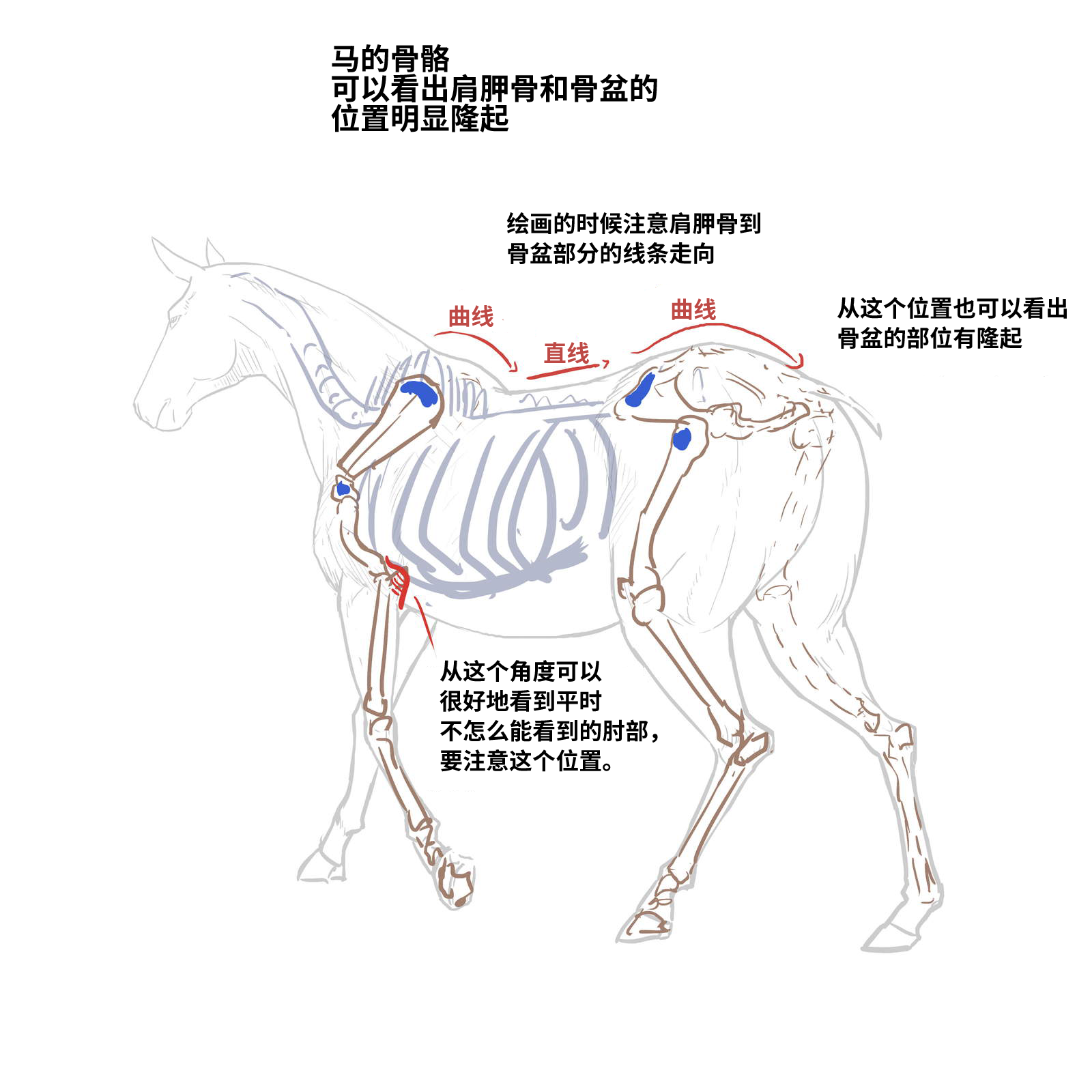 52573994_p15.png