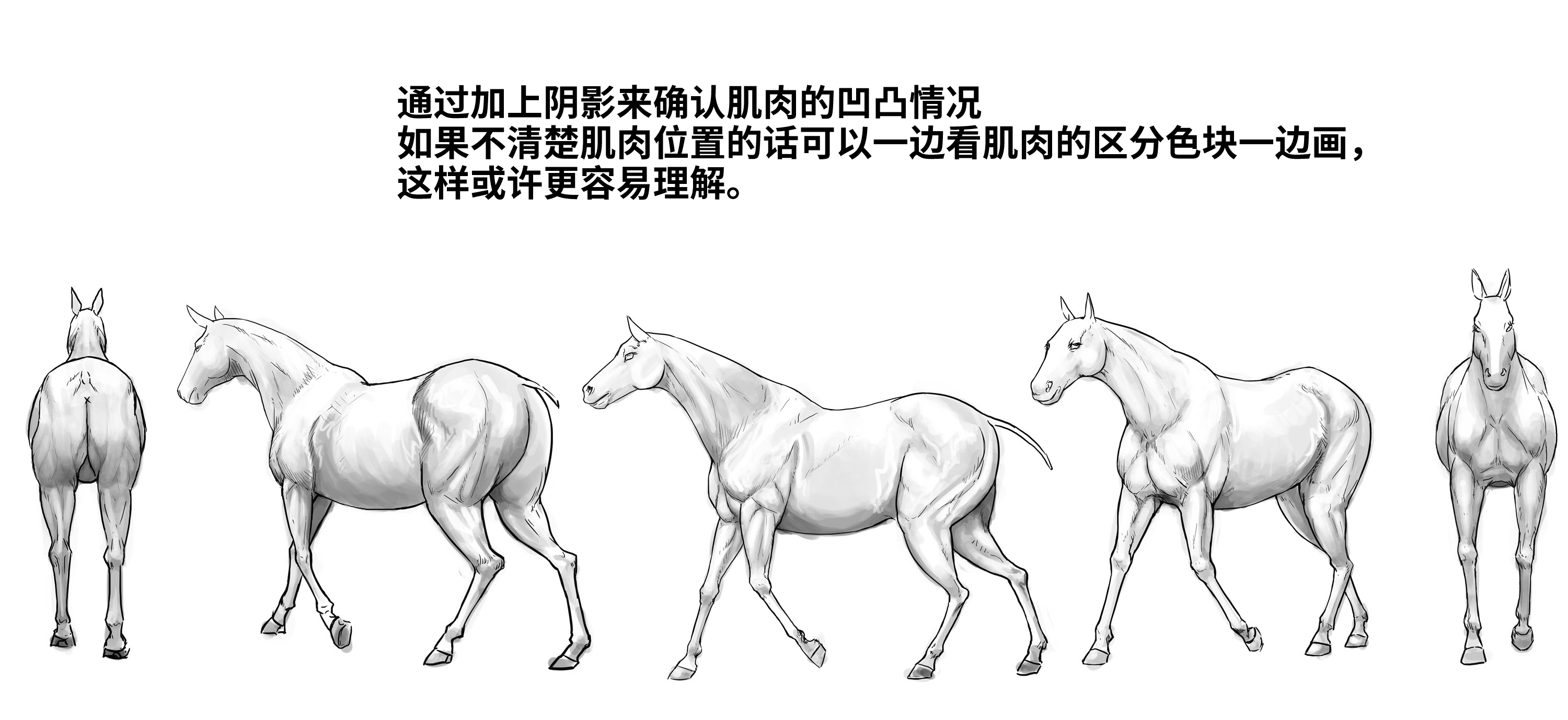 52573994_p20.png