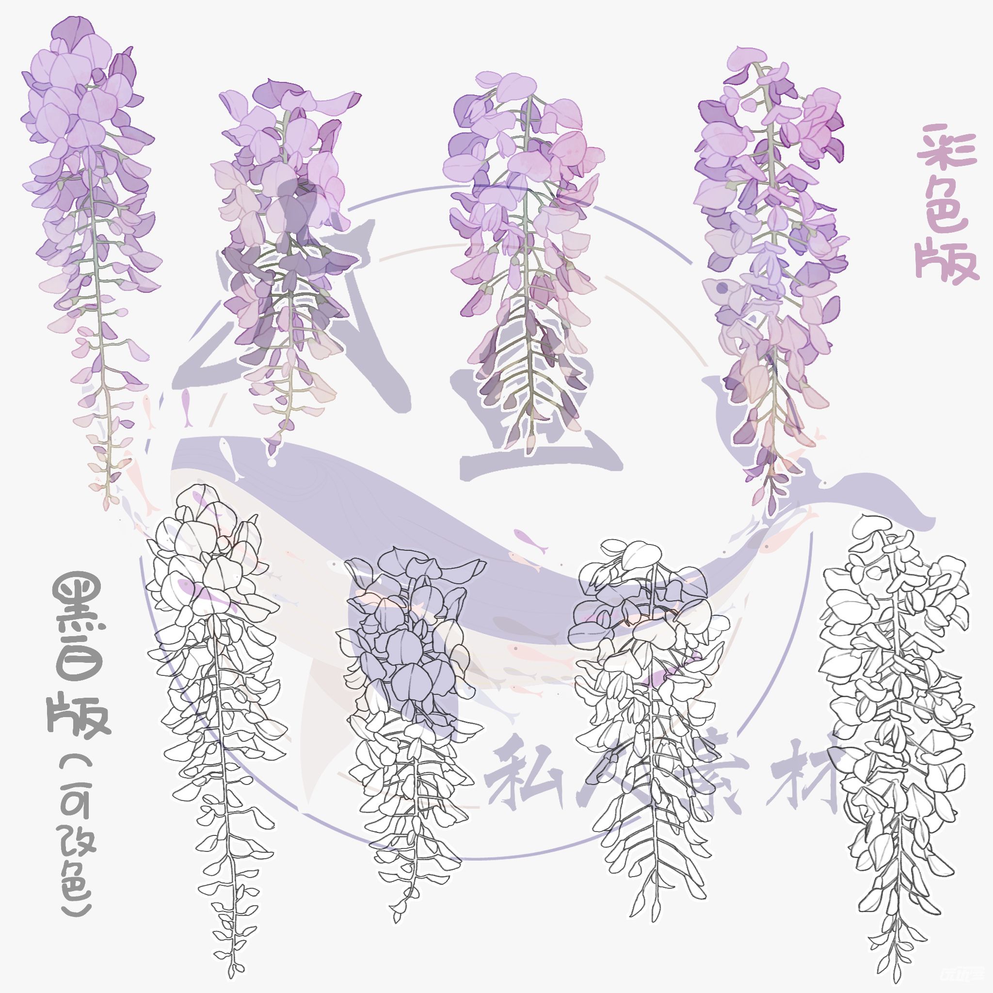 紫藤花素材动漫图片