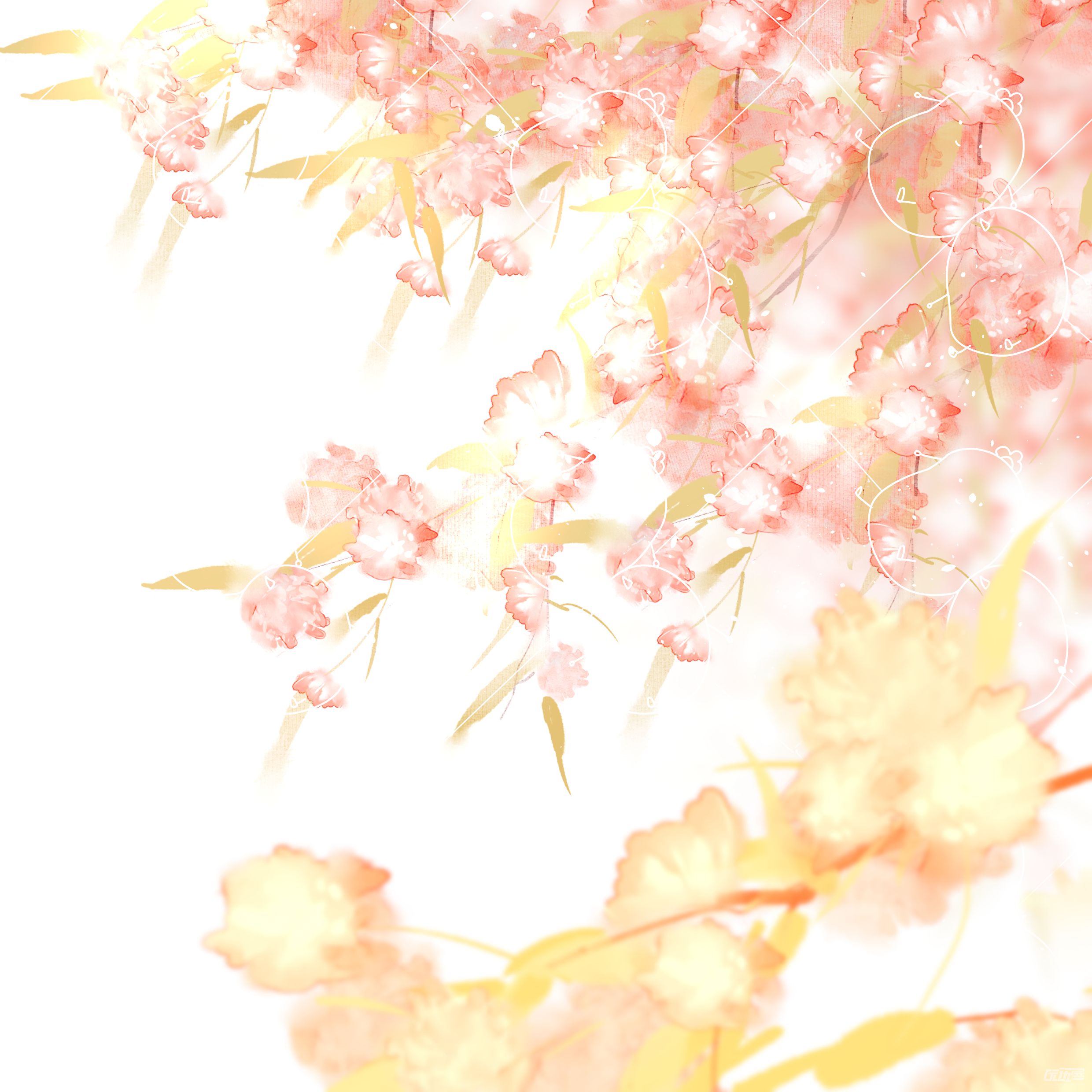 海棠花 