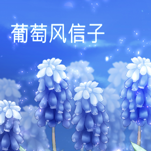 葡萄风信子【蓝色】