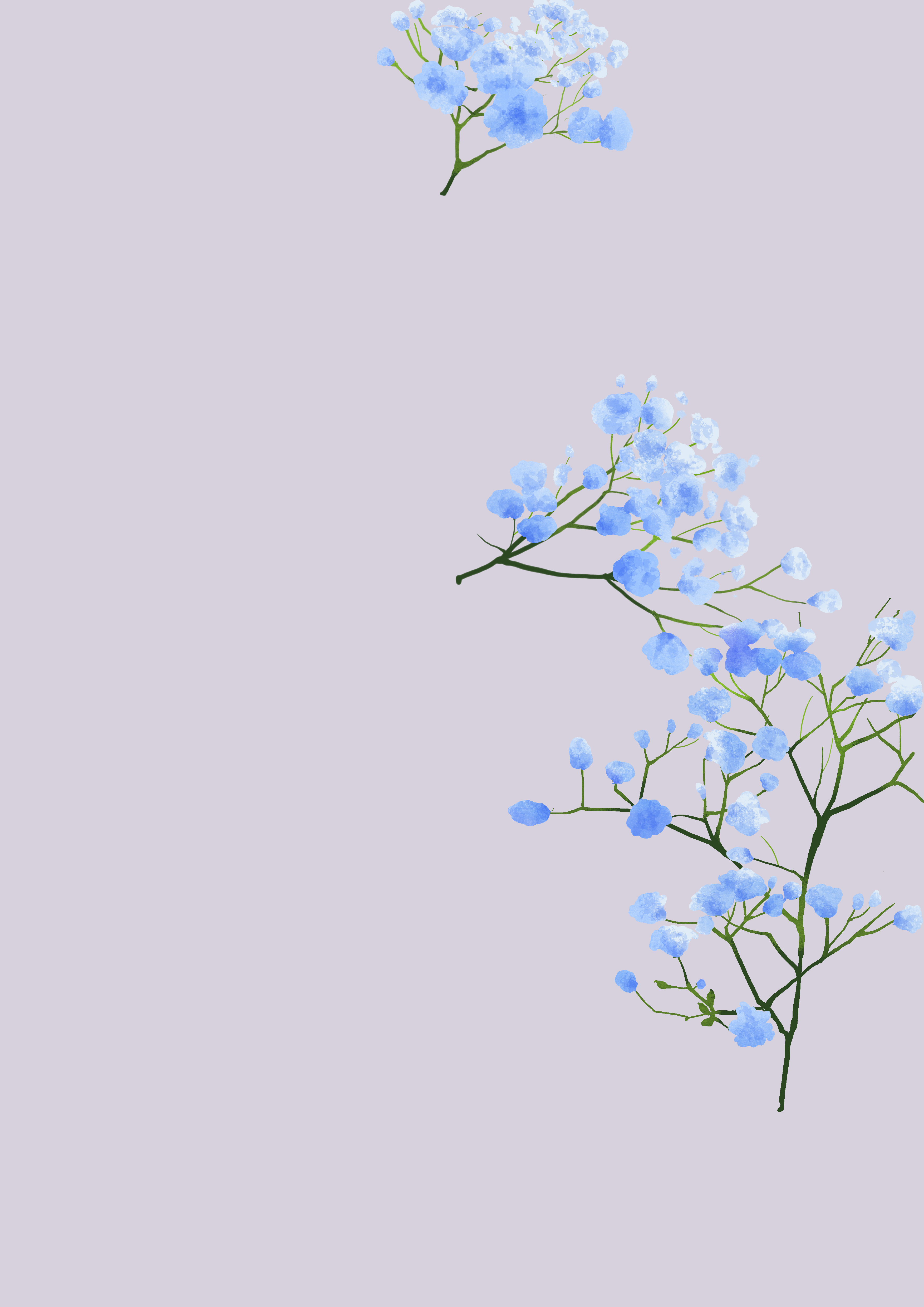  - Ŷ-֧Ԯ | Ŷpaint滭
