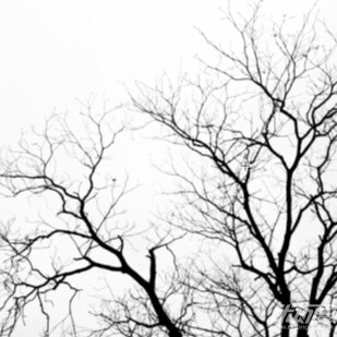 轻度枯笔（软草_宁成白雪。优动漫官⽹_绘画素材商城