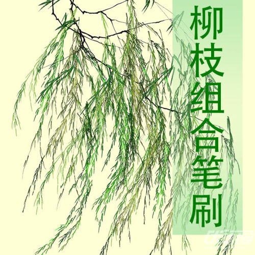 柳枝组合笔刷_冉毛豆优动漫官⽹_绘画素材商城