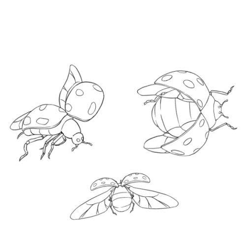 飞舞的瓢虫笔刷