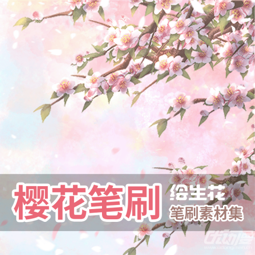 绘生花樱花笔刷