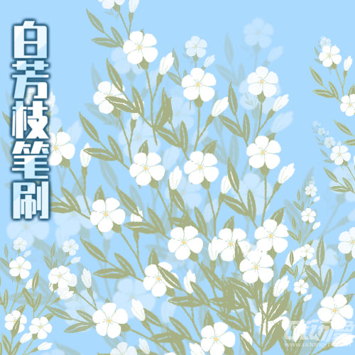 白芳枝