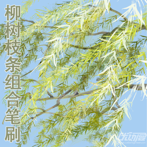 柳树枝条组合笔刷_冉毛豆优动漫官⽹_绘画素材商城