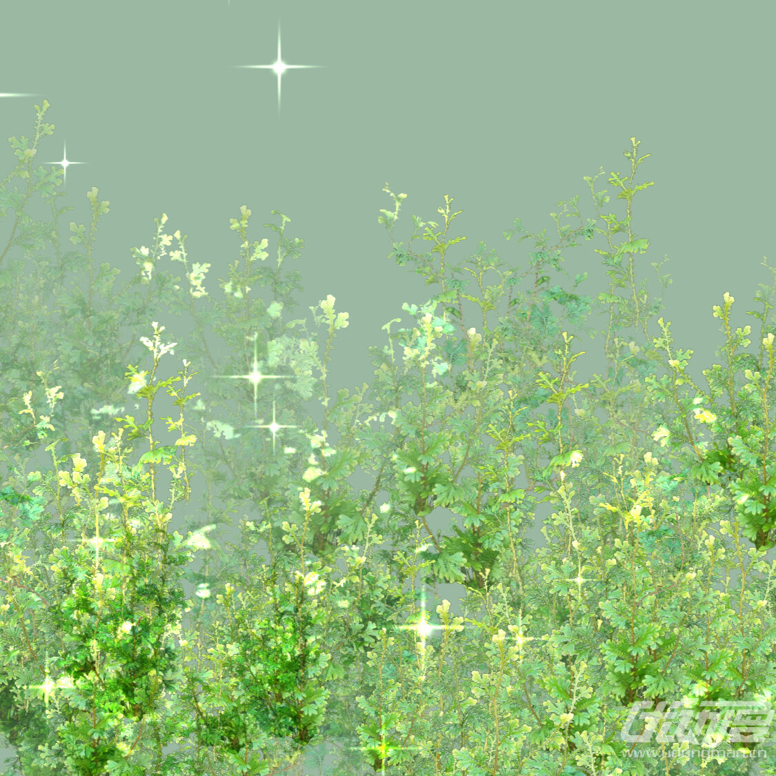 梨花枝条（一套）_盆栽大王优动漫官⽹_绘画素材商城